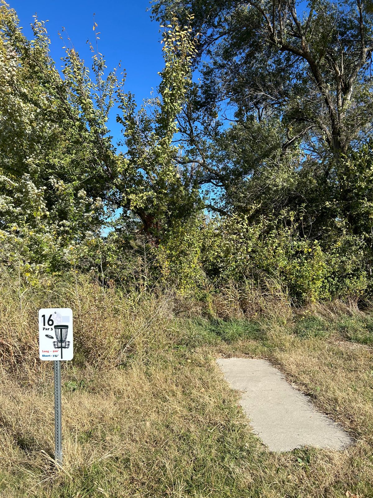 Hole 16 tee