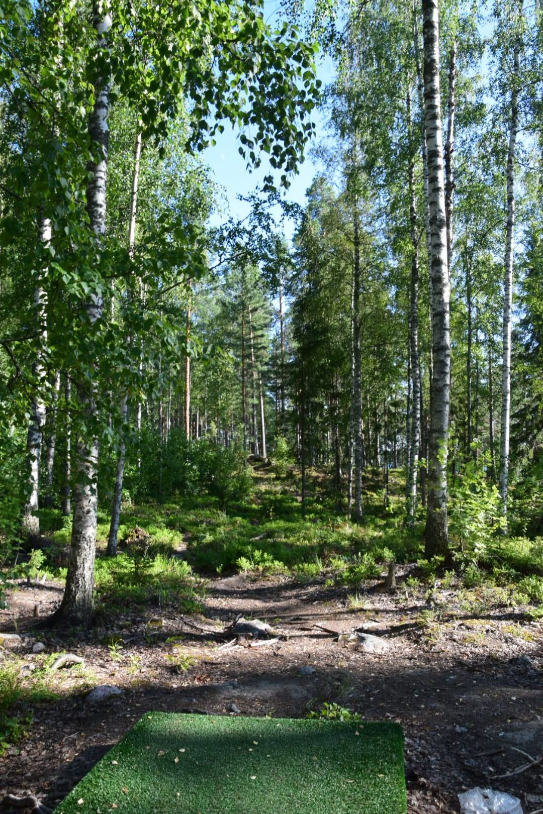 Väylä 9. 49m Oikealle kaartava lyhyt väylä.