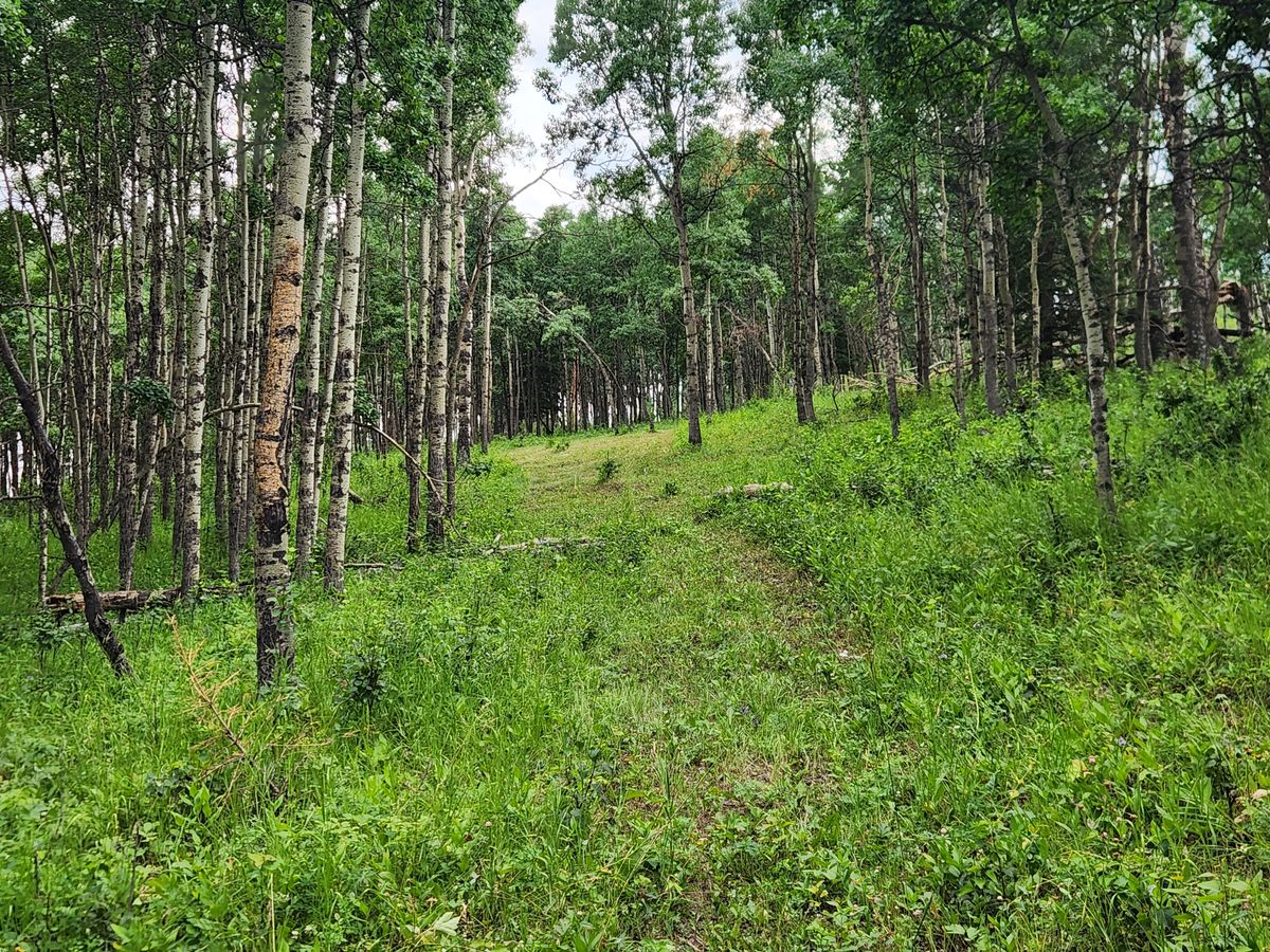 Hole 8