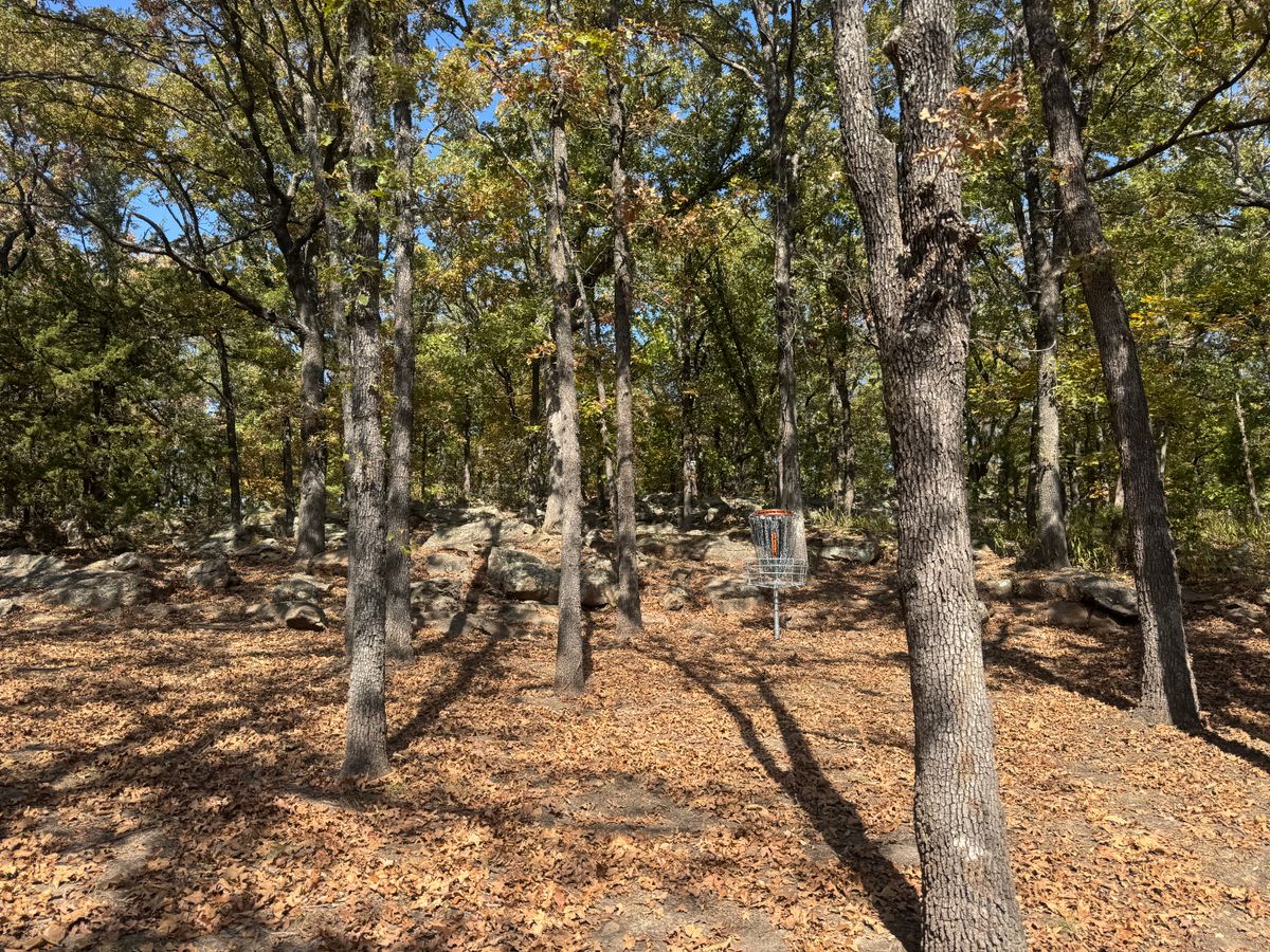 Wooded course, technical.