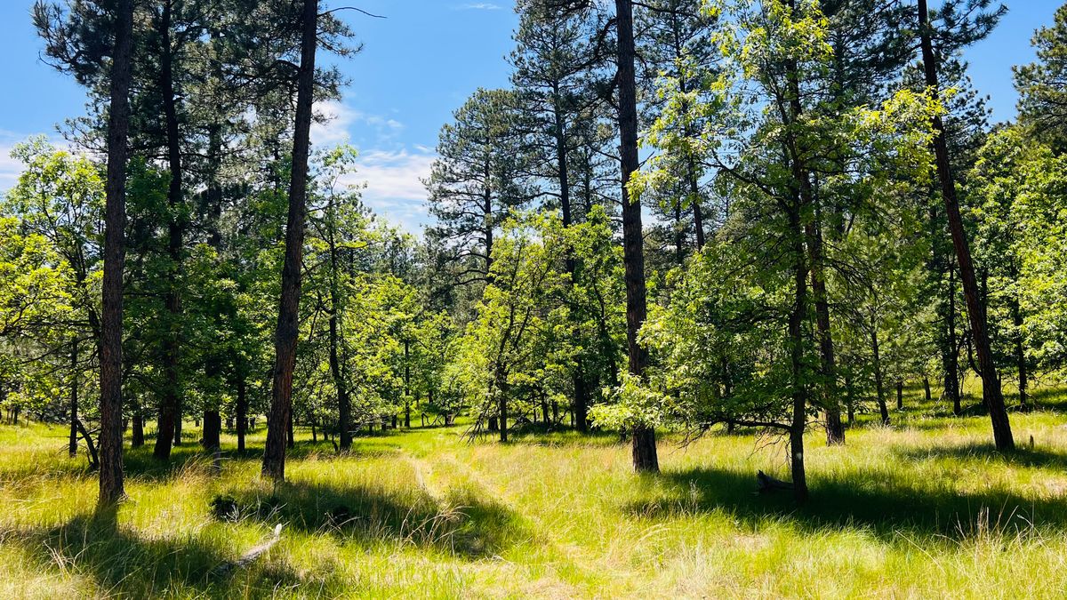 Fairway of 16