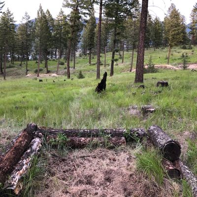 Hole 1 tee pad