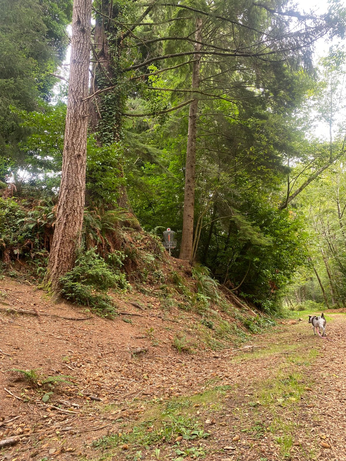 Hole 9