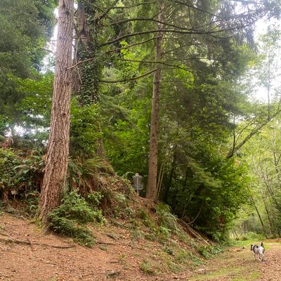 Hole 9