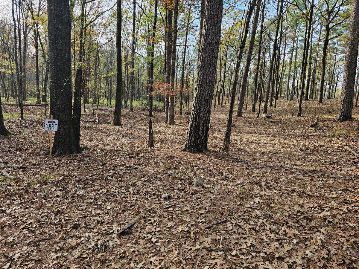 To hole 10
