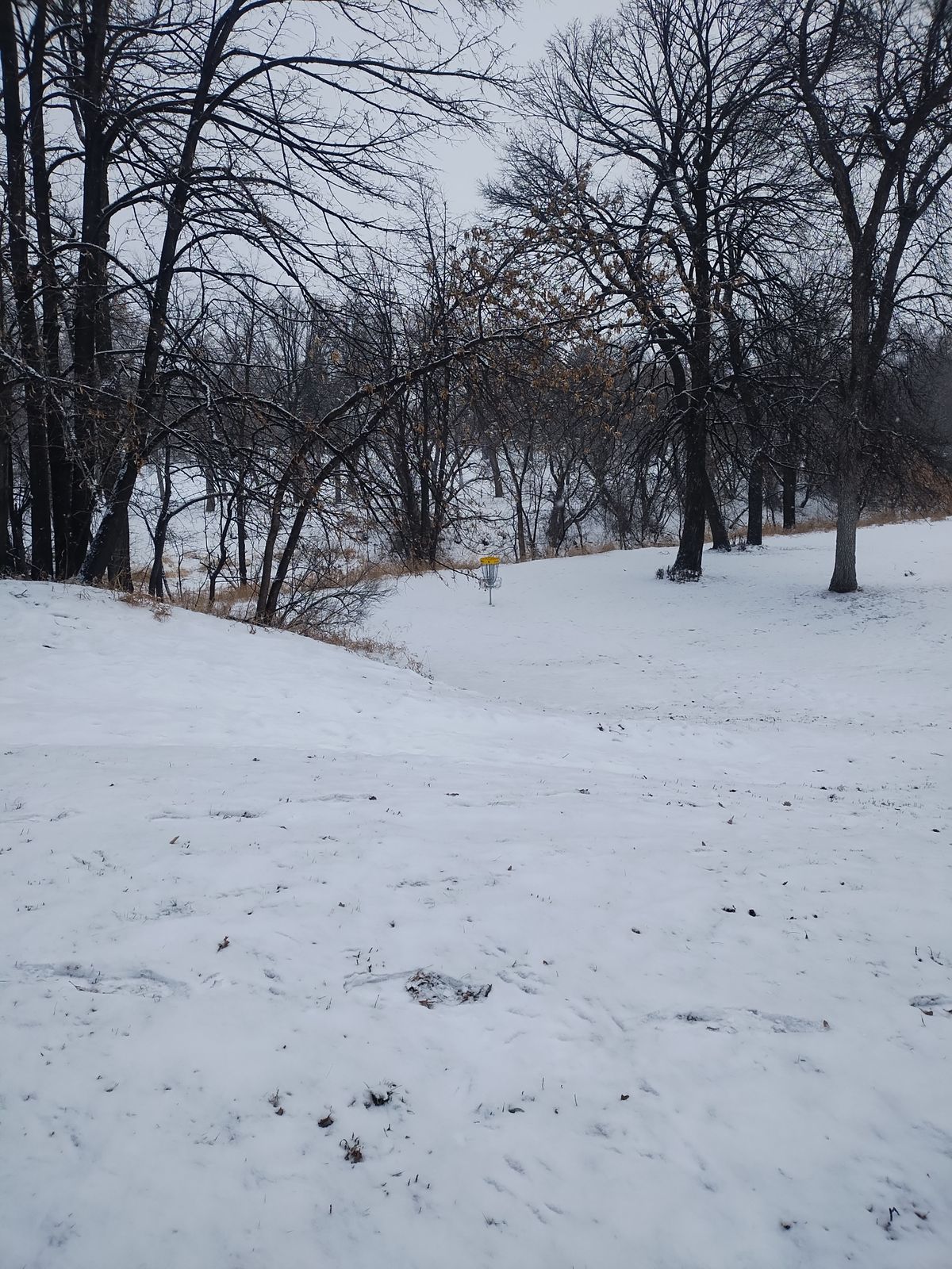 Hole 5 basket