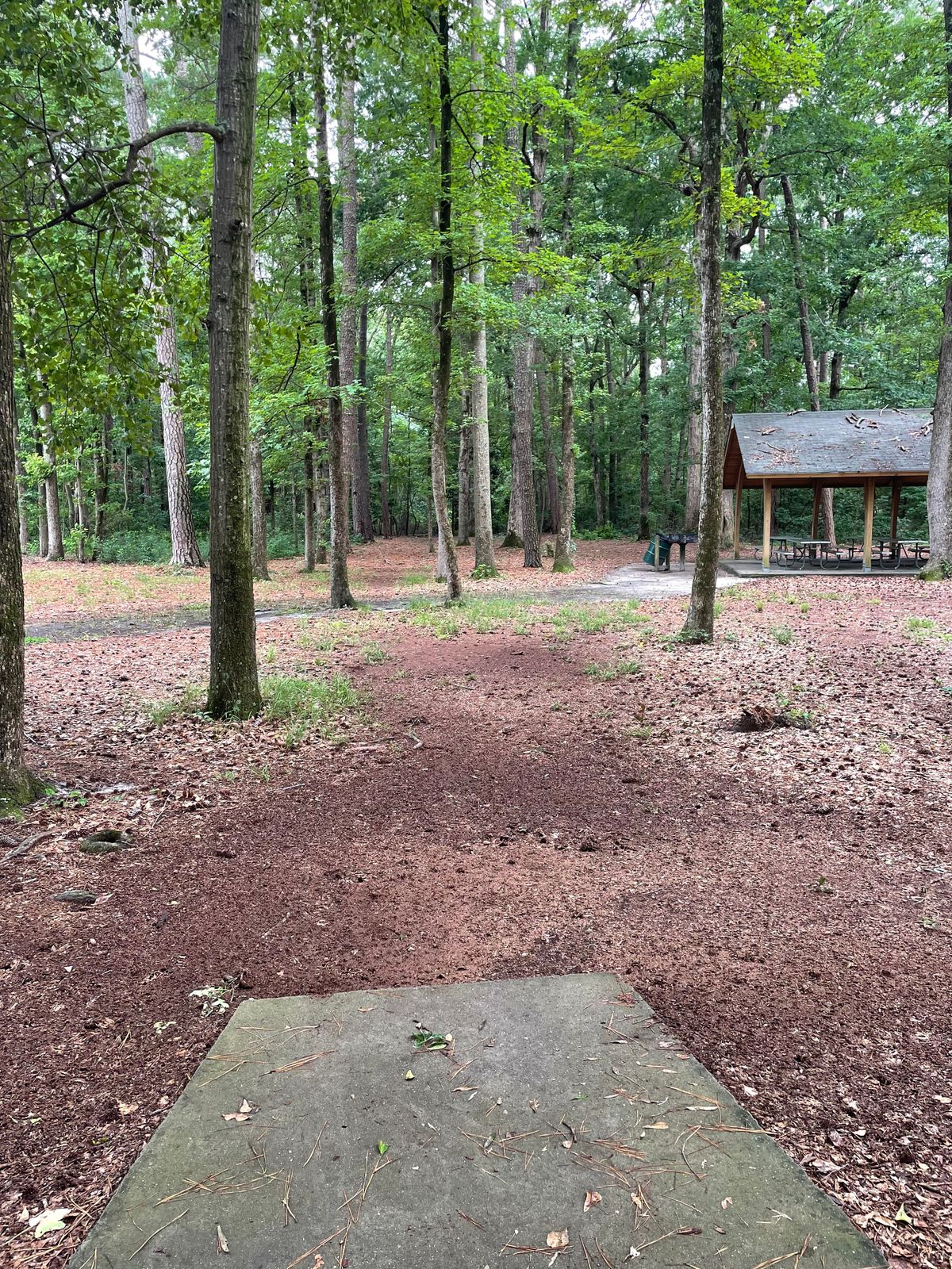 Hole #1 tee pad.