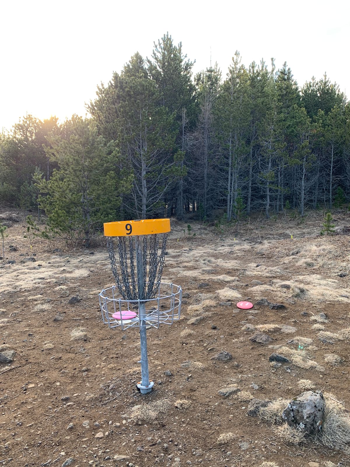 Hole 9