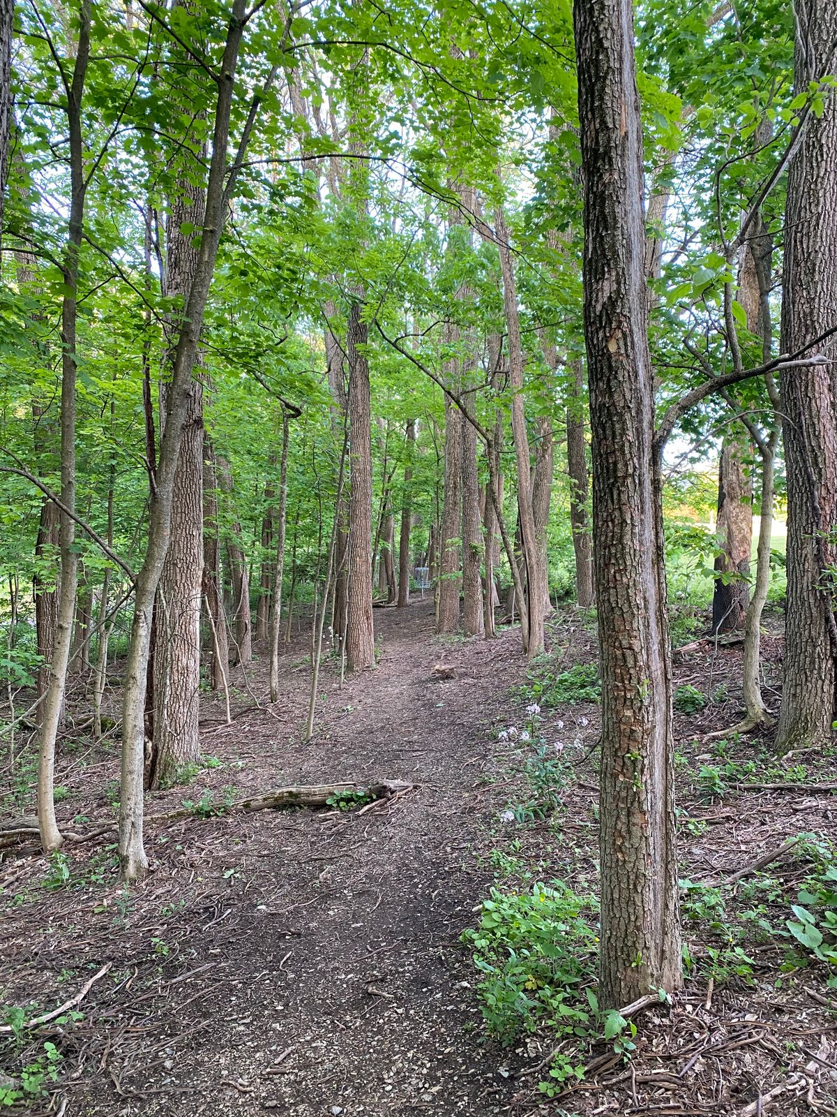 Hole 16