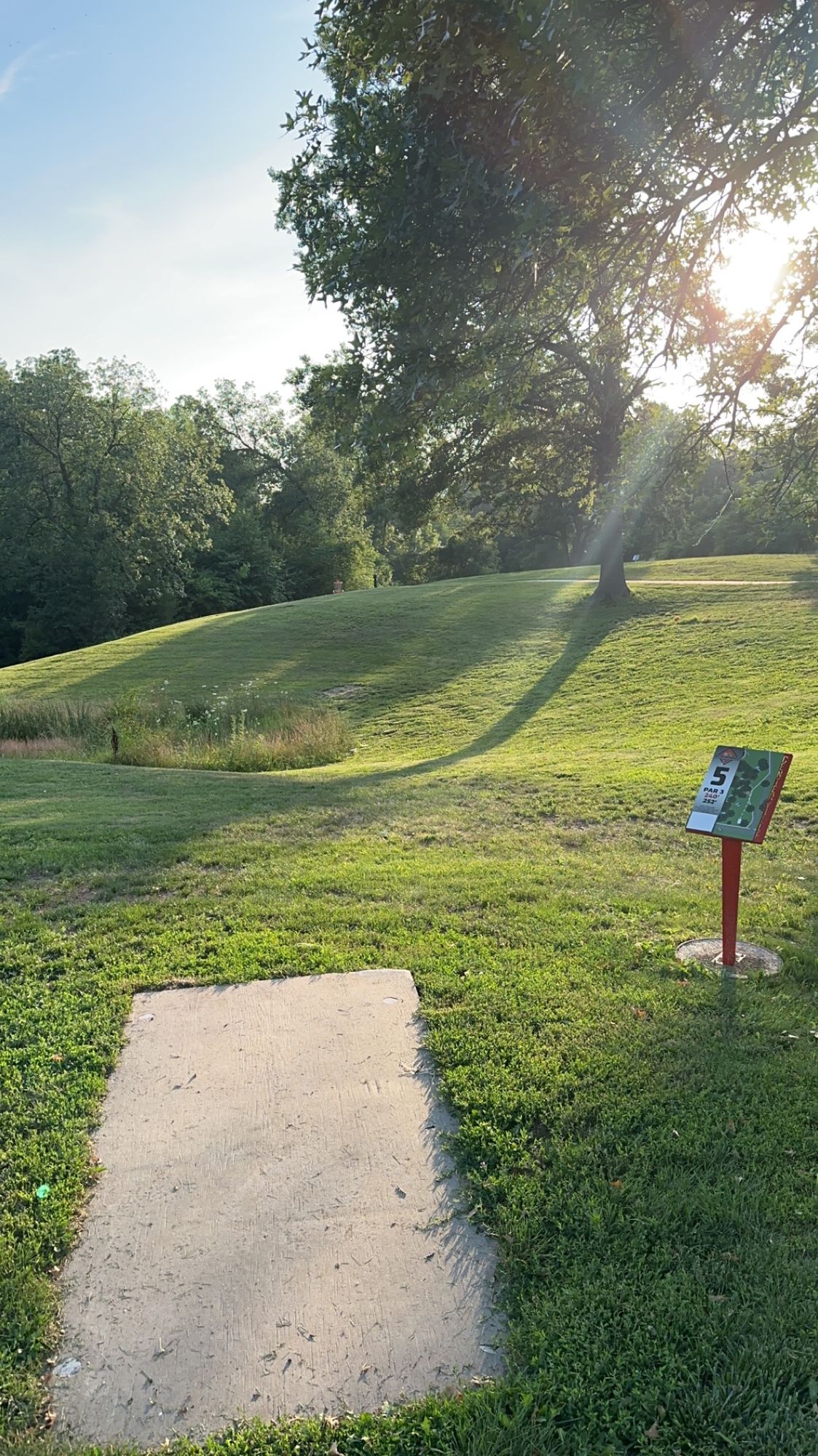 Hole 5 short