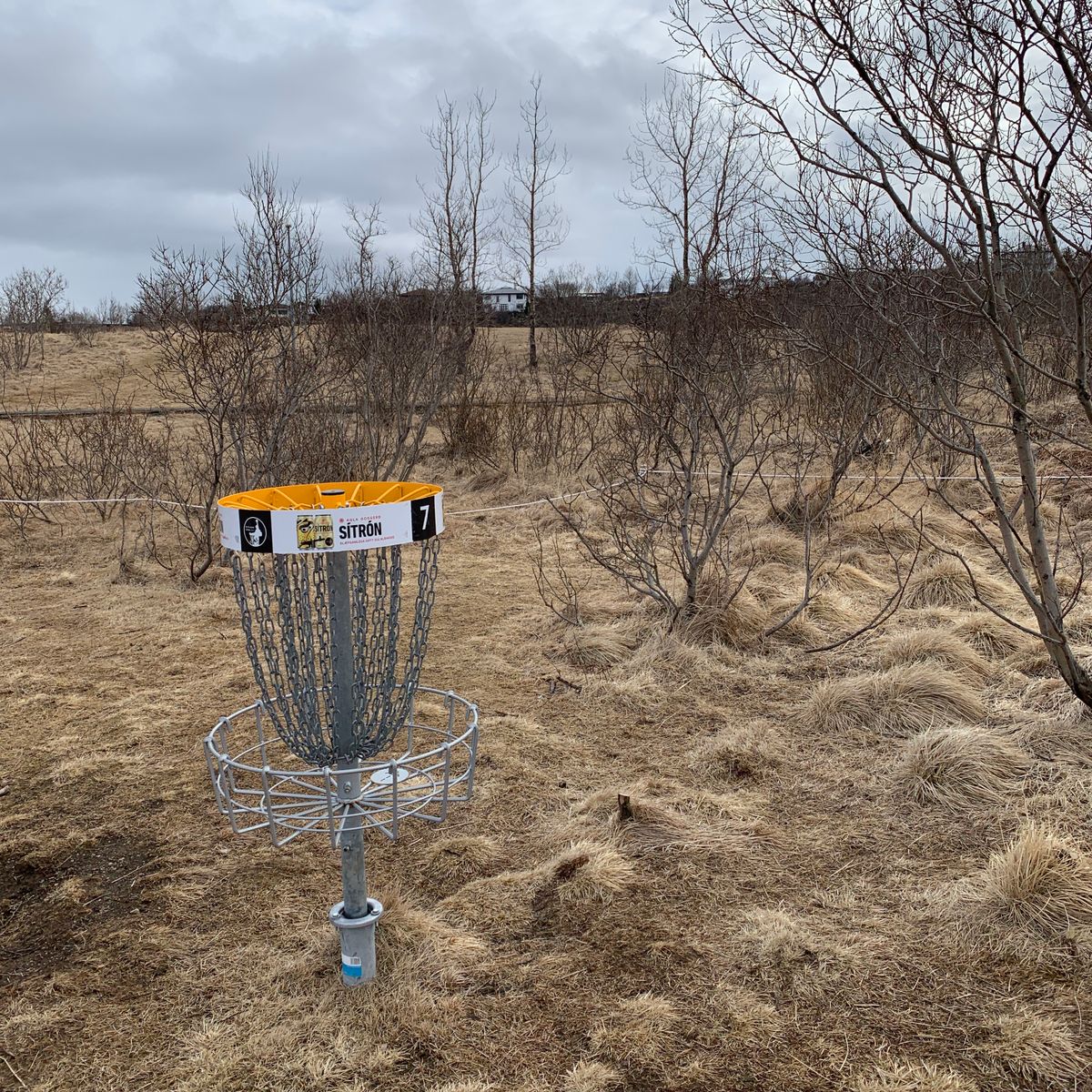 Hole 7