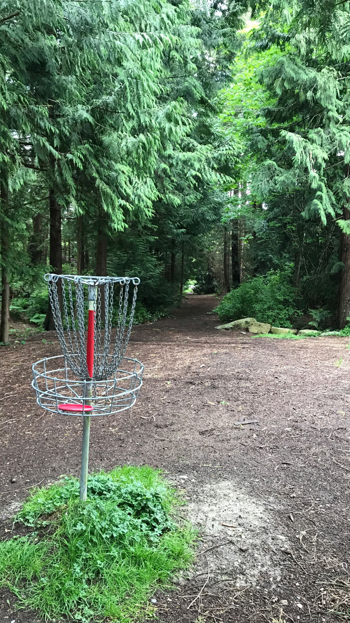 Hole 6 by parking lot.