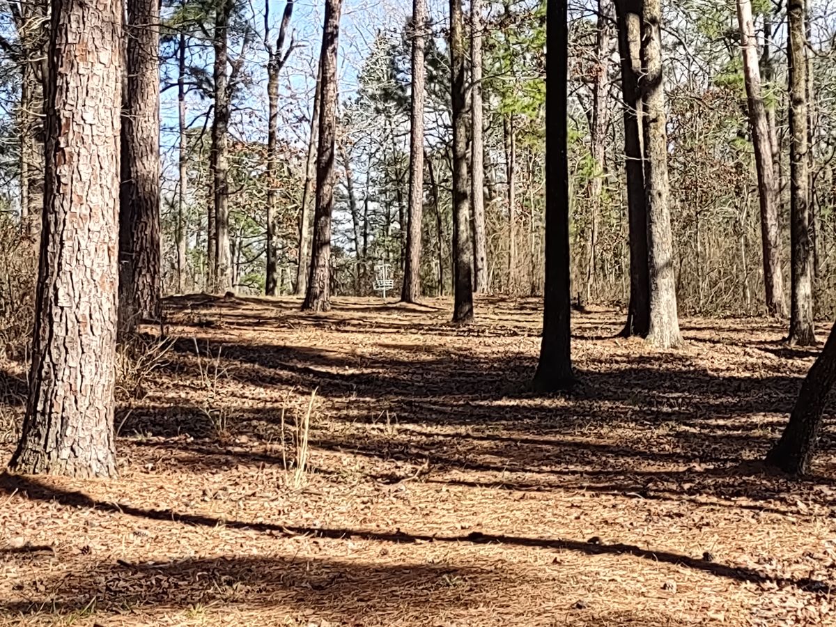 #4 Fairway