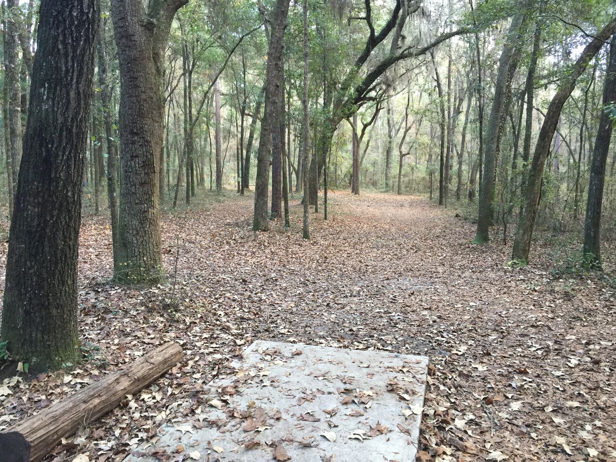 Hole 15