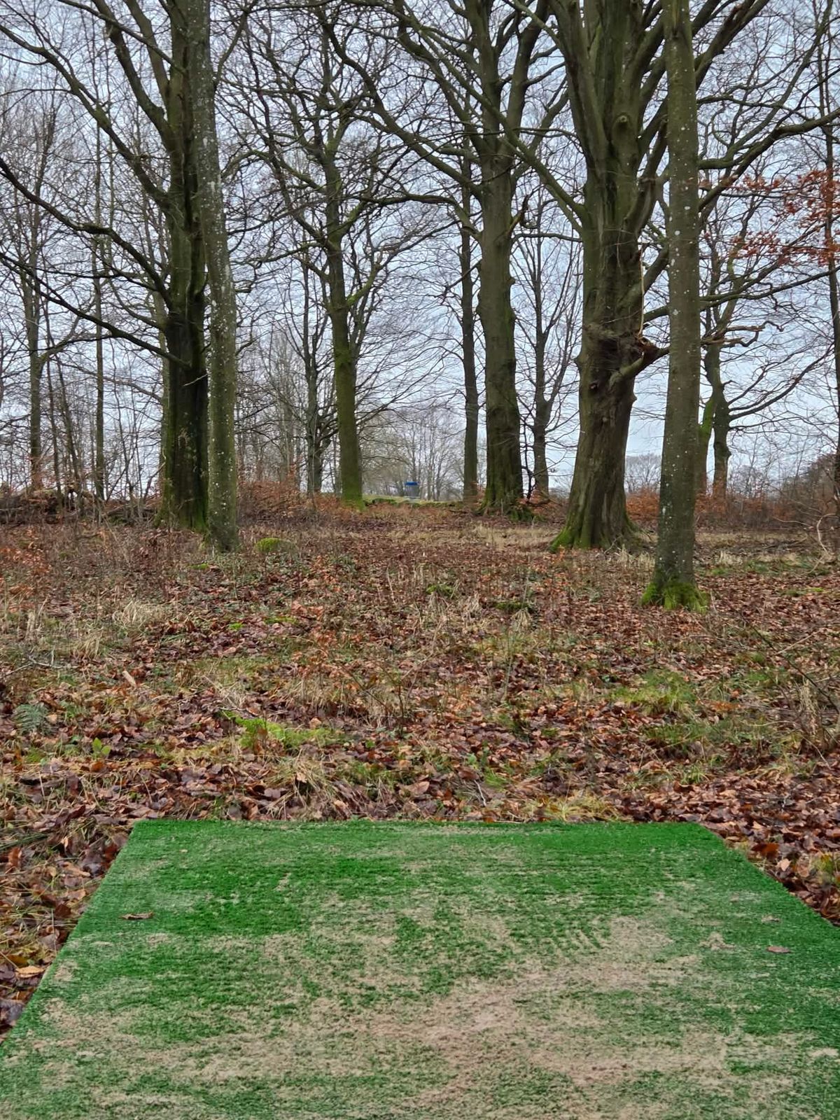 Hole 13 - the only hole on the course entirely in the woods