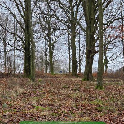 Hole 13 - the only hole on the course entirely in the woods