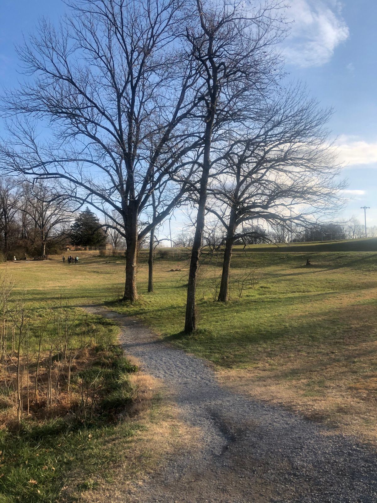 Hole 1