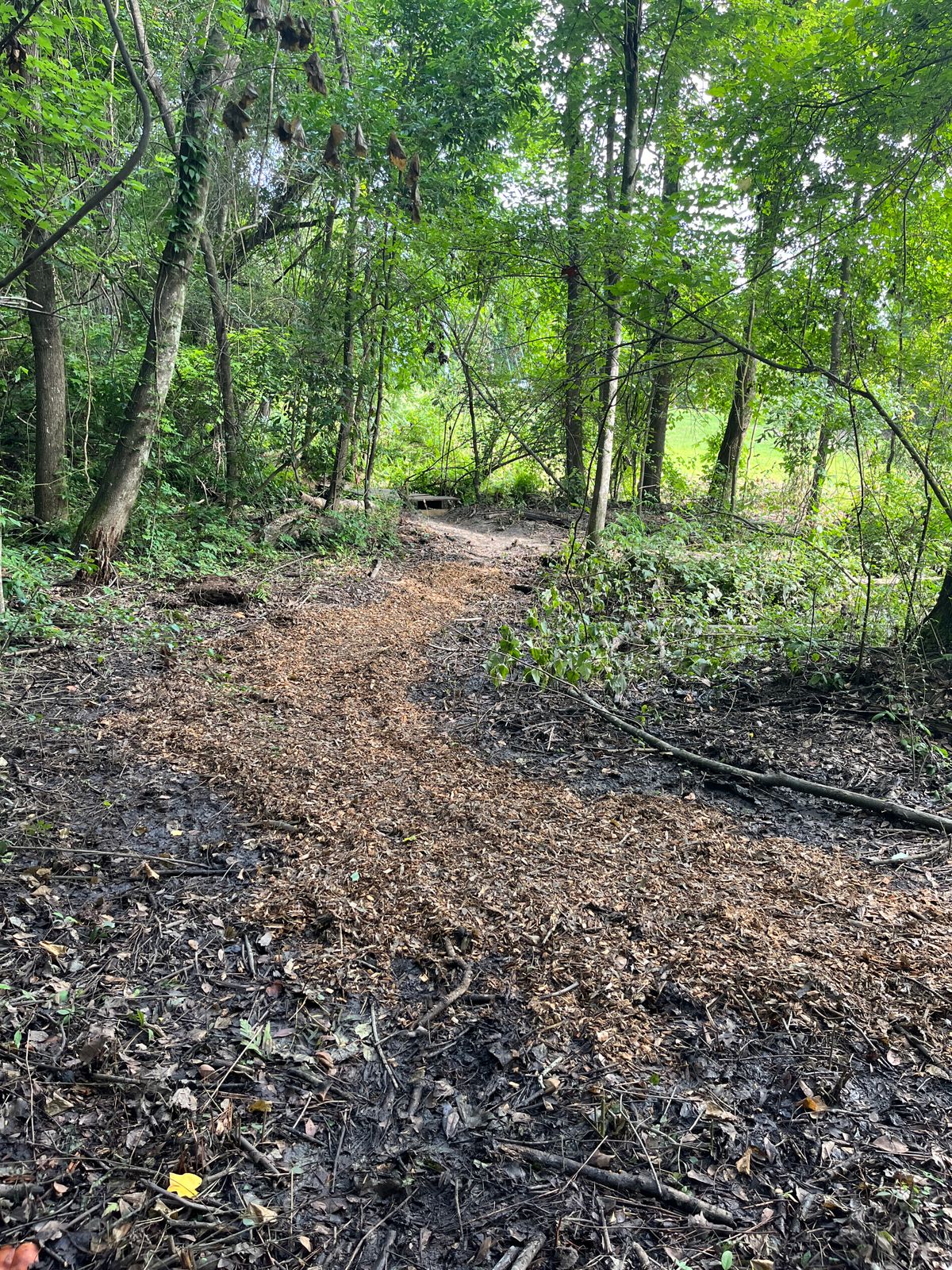 Nice new mulch to help with the squishy areas.