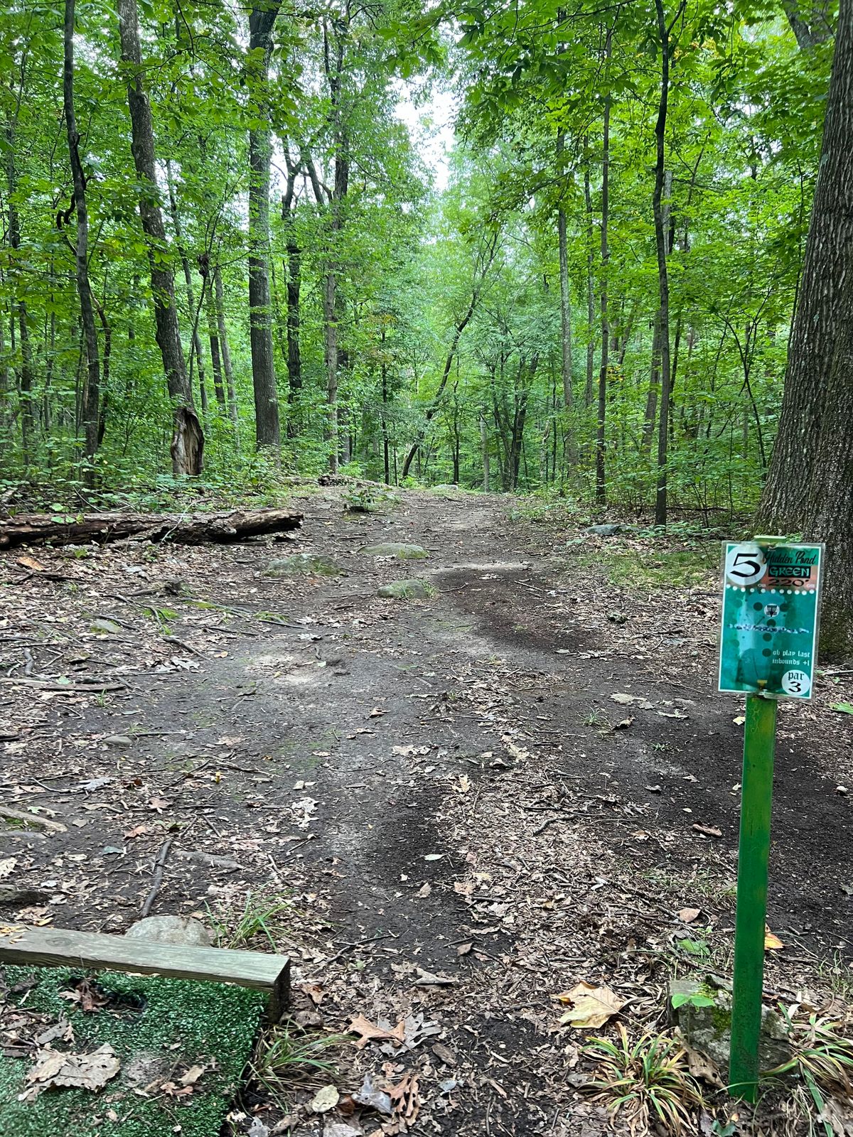 Hole #5