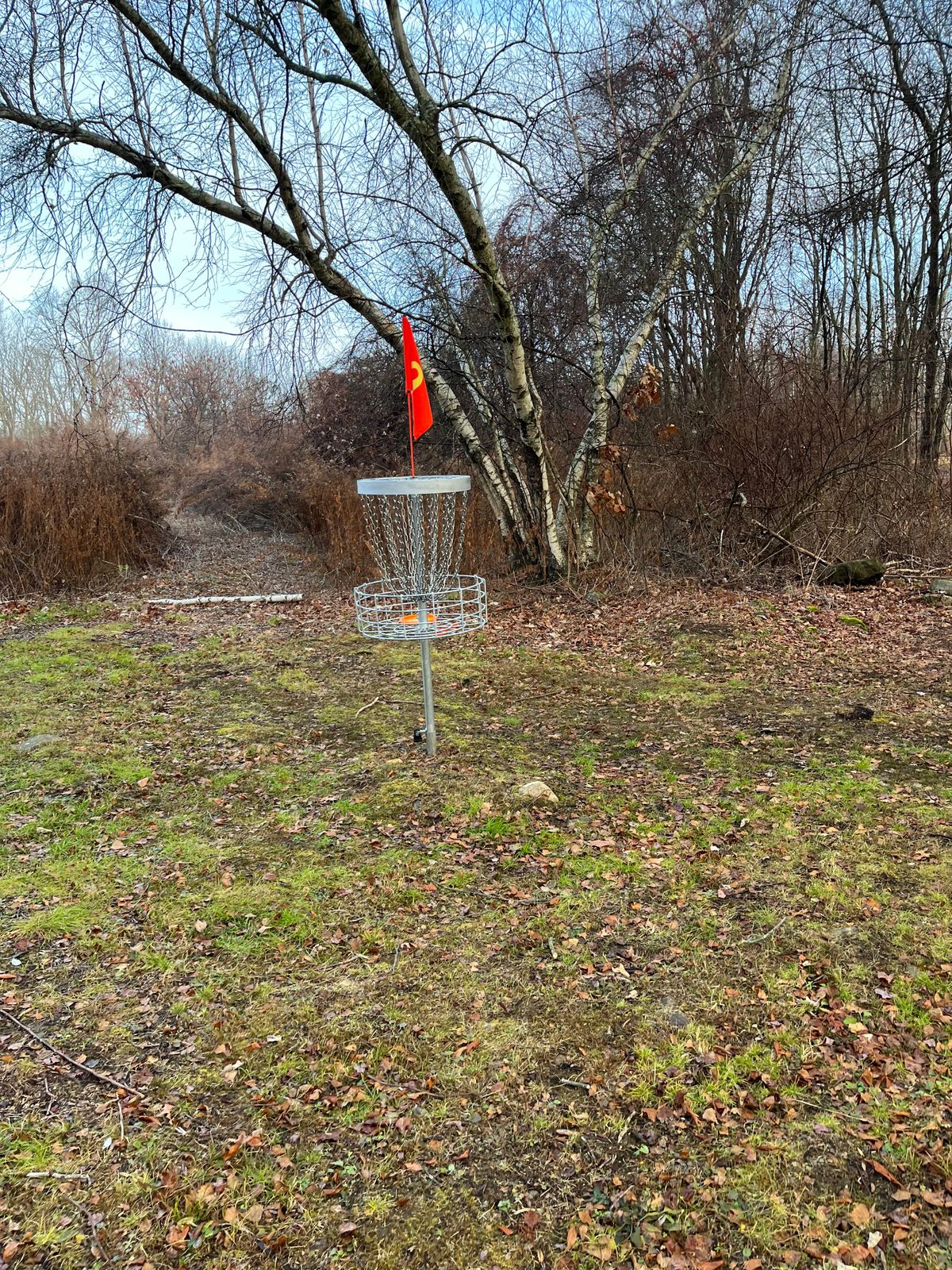 Hole 9