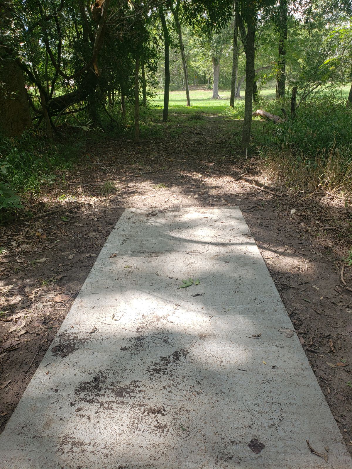 Hole 15 tee box