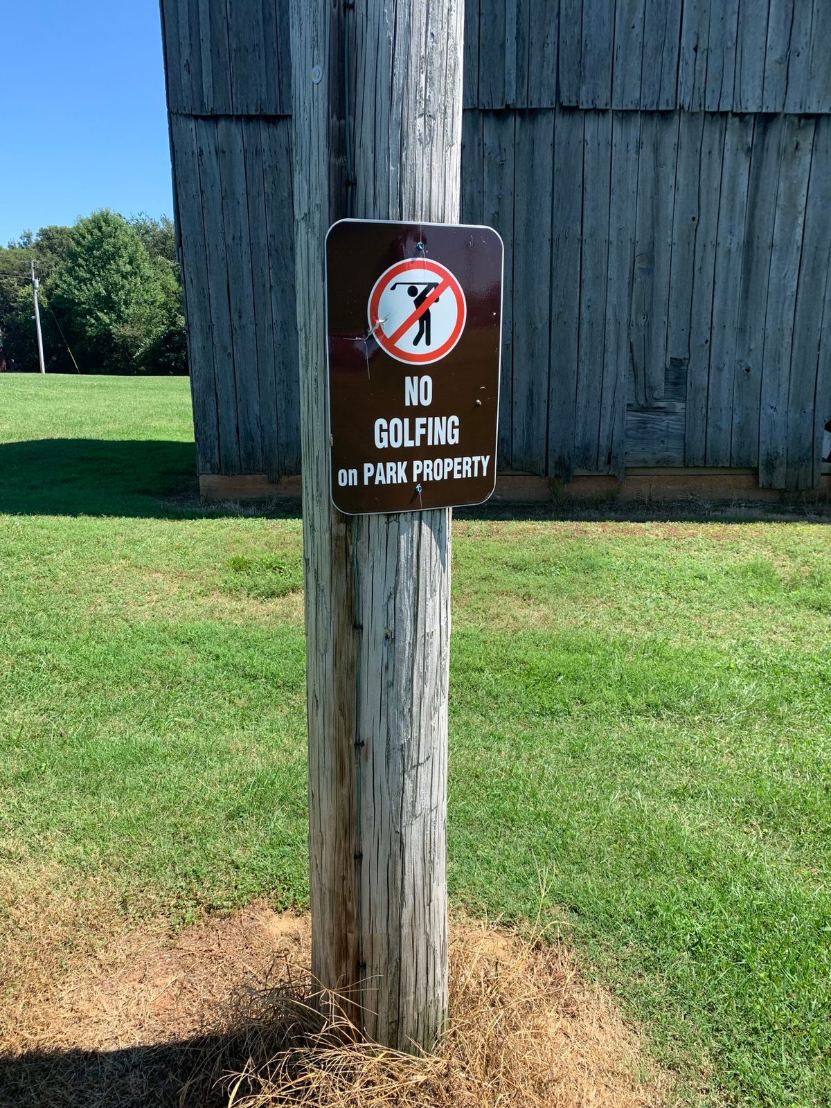 No Golf