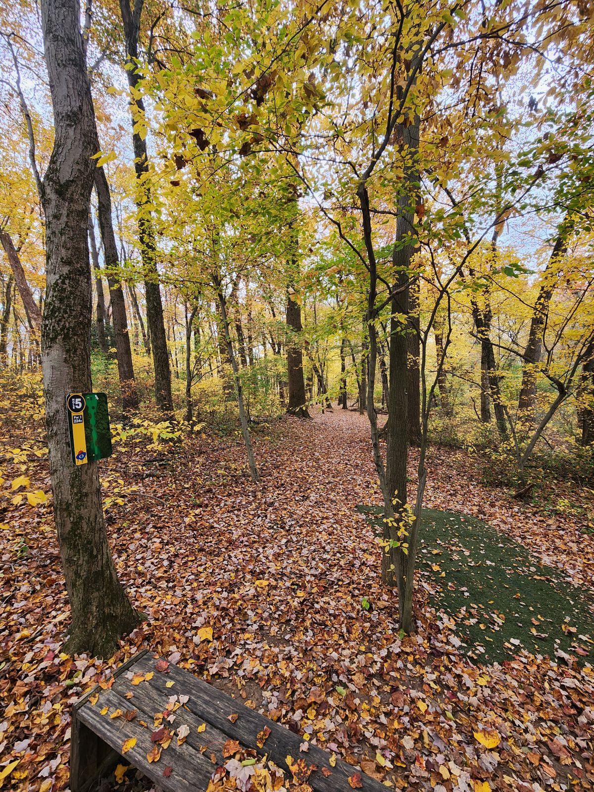 Hole 5 tee pad