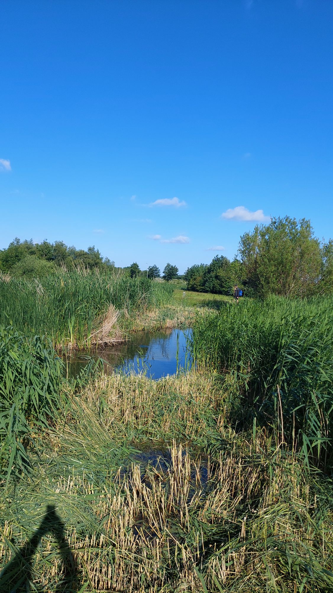 Hole 2