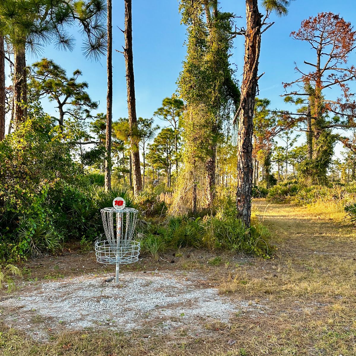 Current basket location 10/2025