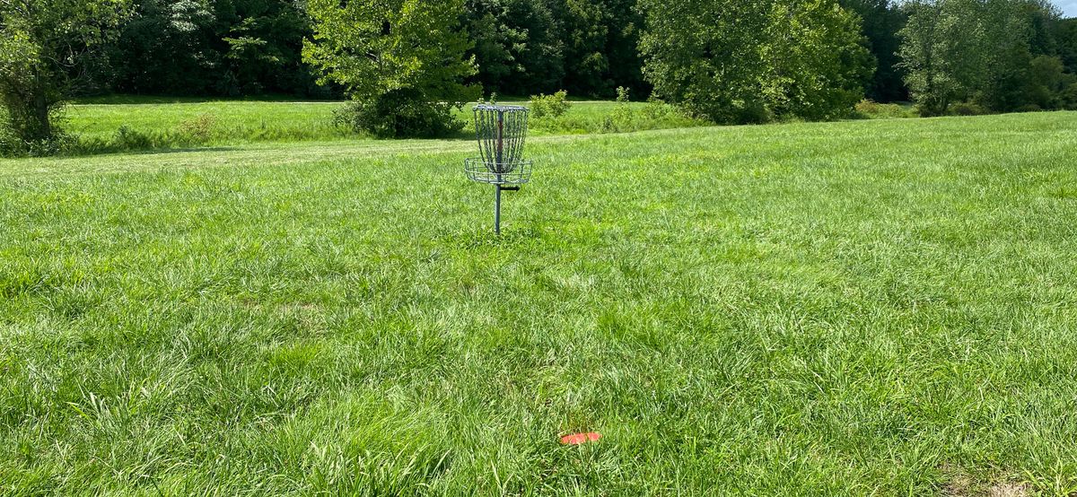 16 green