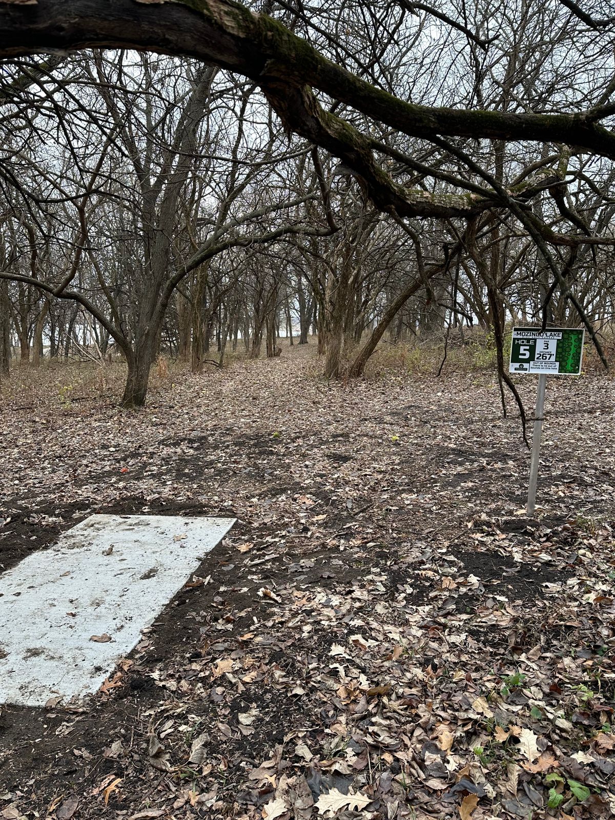 Hole 5