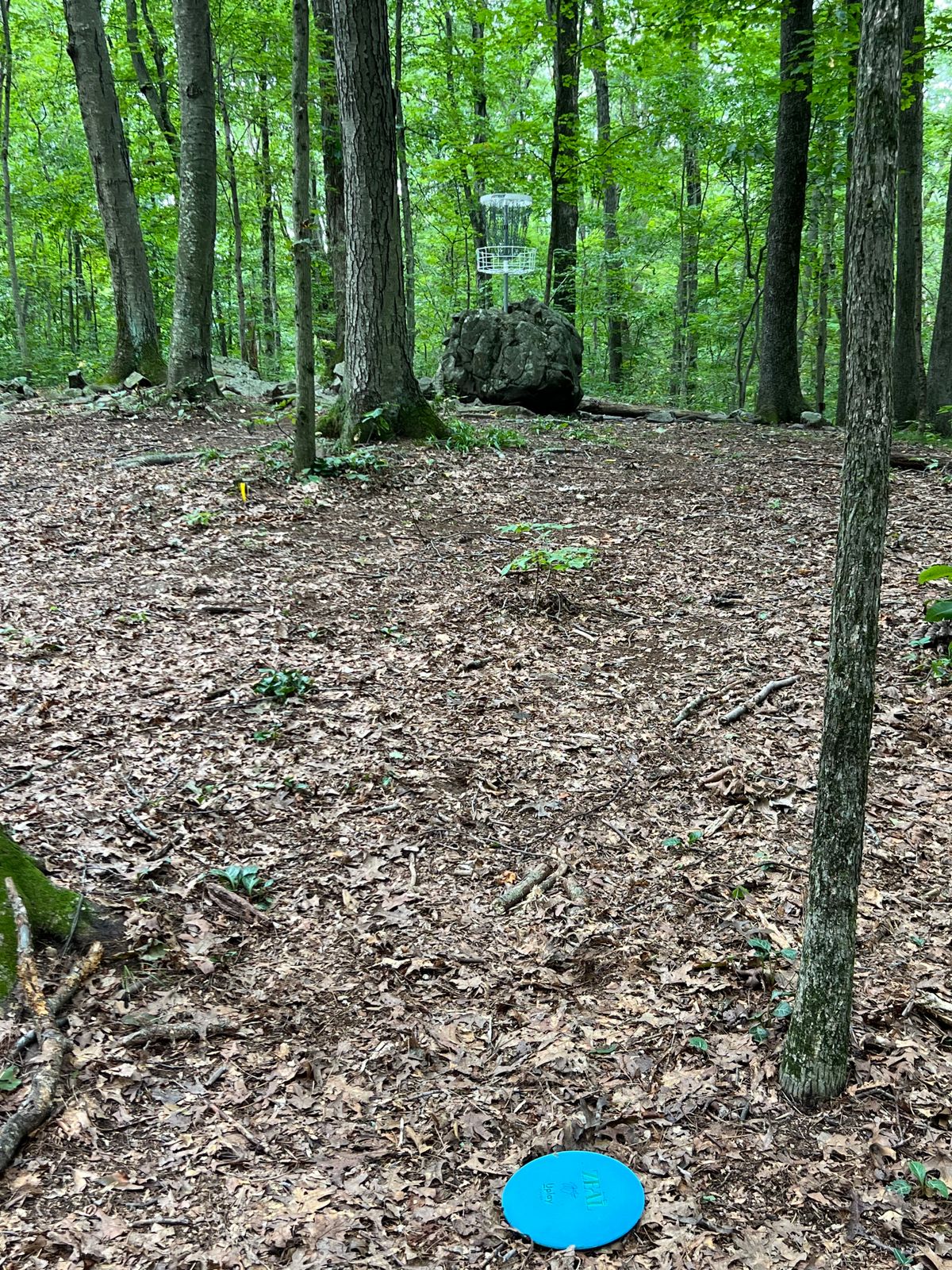 Basket mounted into large boulder that will not care about your feelings!