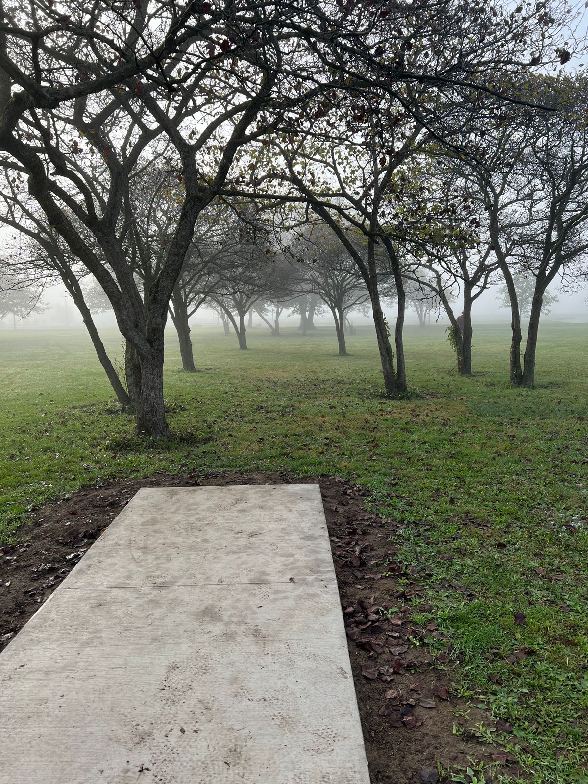 Hole 7