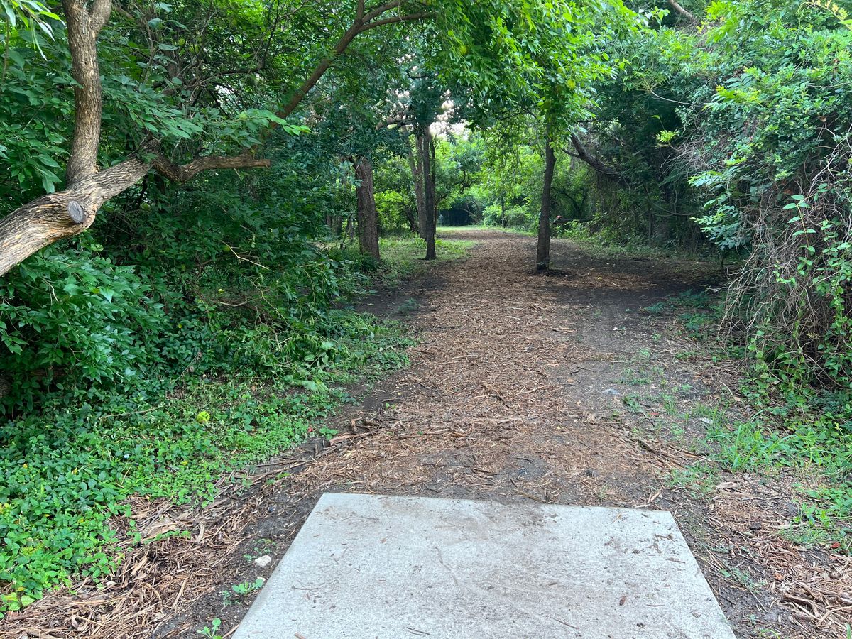 Hole 3 tee