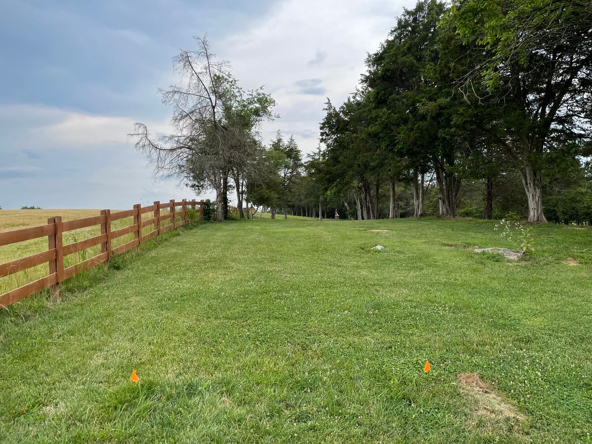 Hole 2 tee - orange flags on the grass - not concrete like the rest
