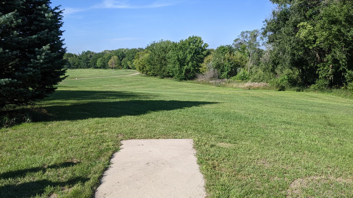 Tee #1 long