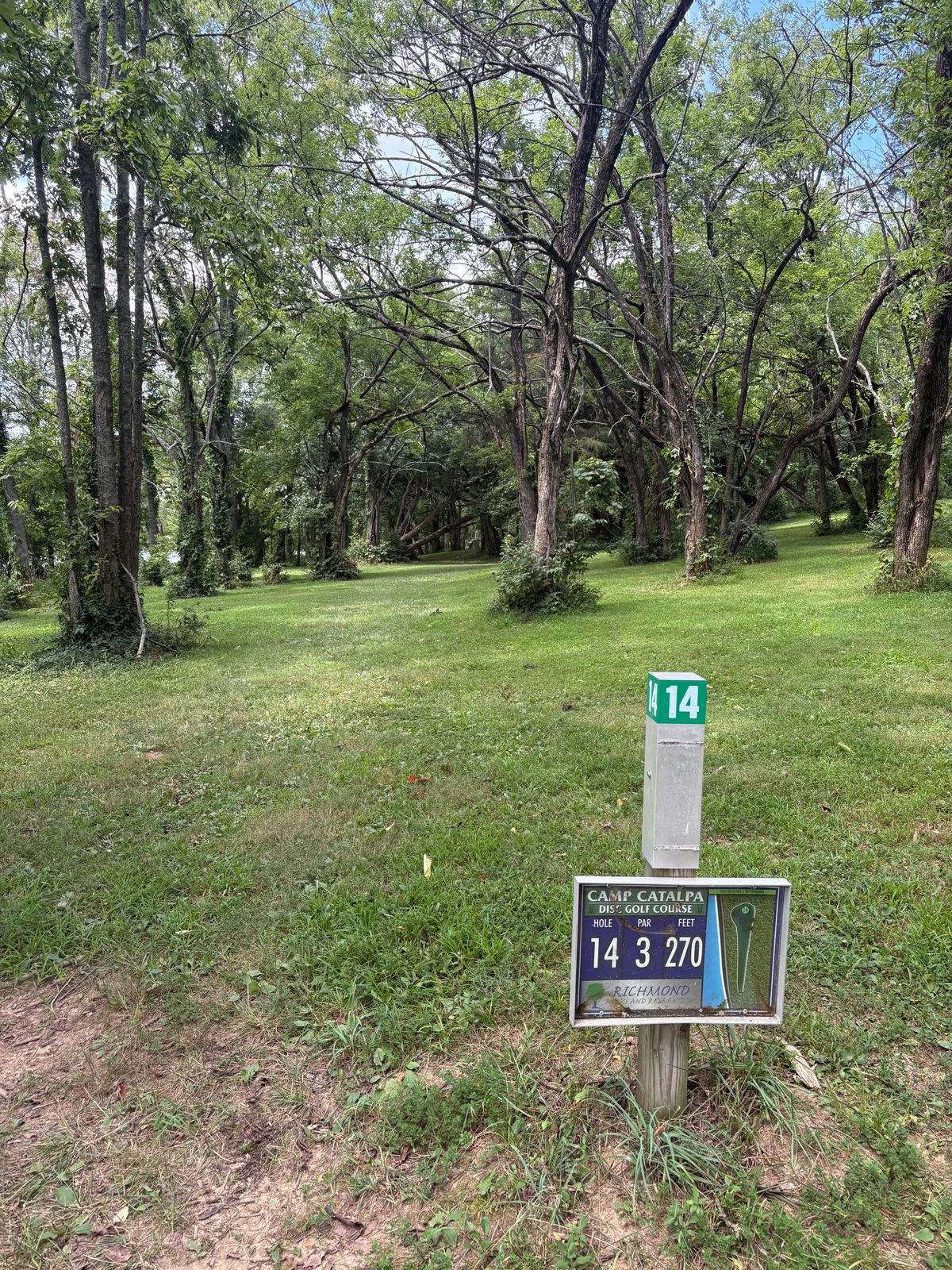 Hole 14