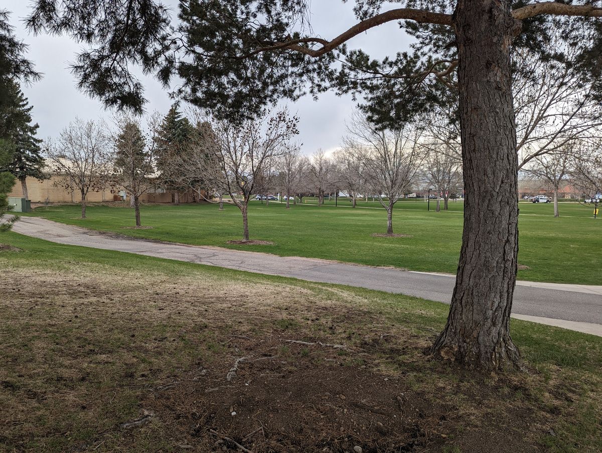 Hole 7 Long Tee