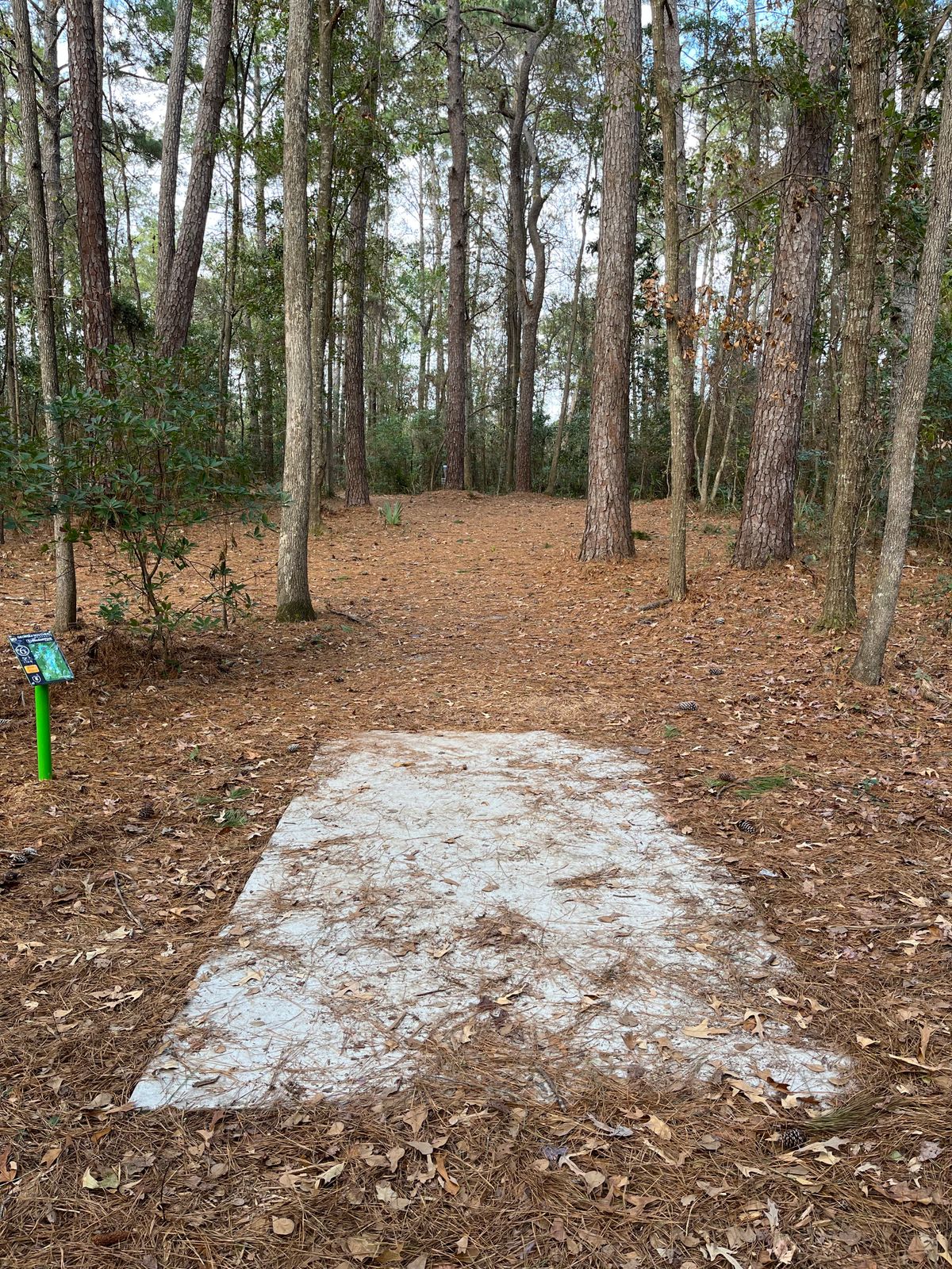 Hole 6 (short)