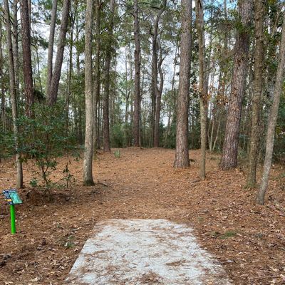 Hole 6 (short)