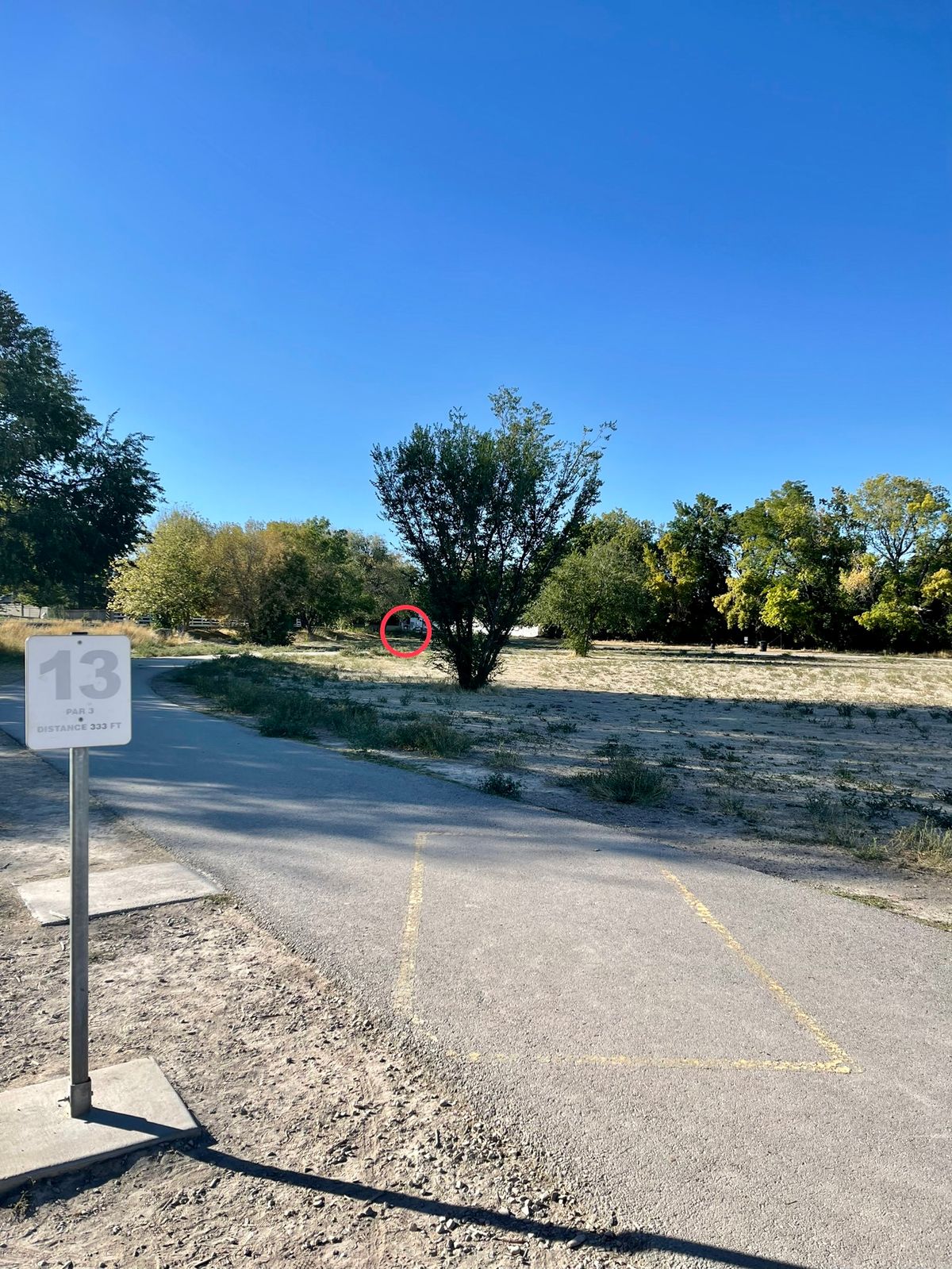 Hole 13 Long Basket