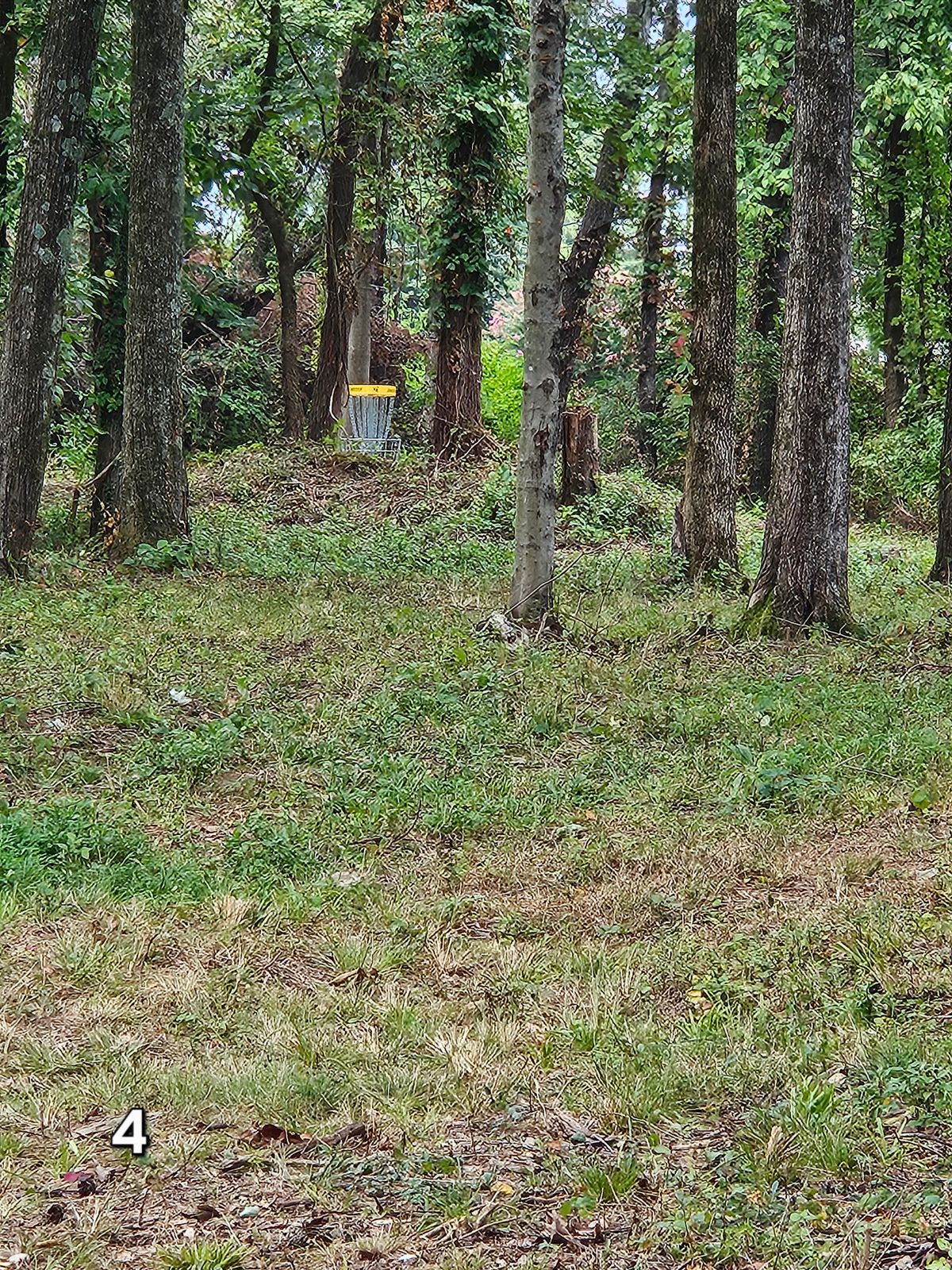 Hole 4