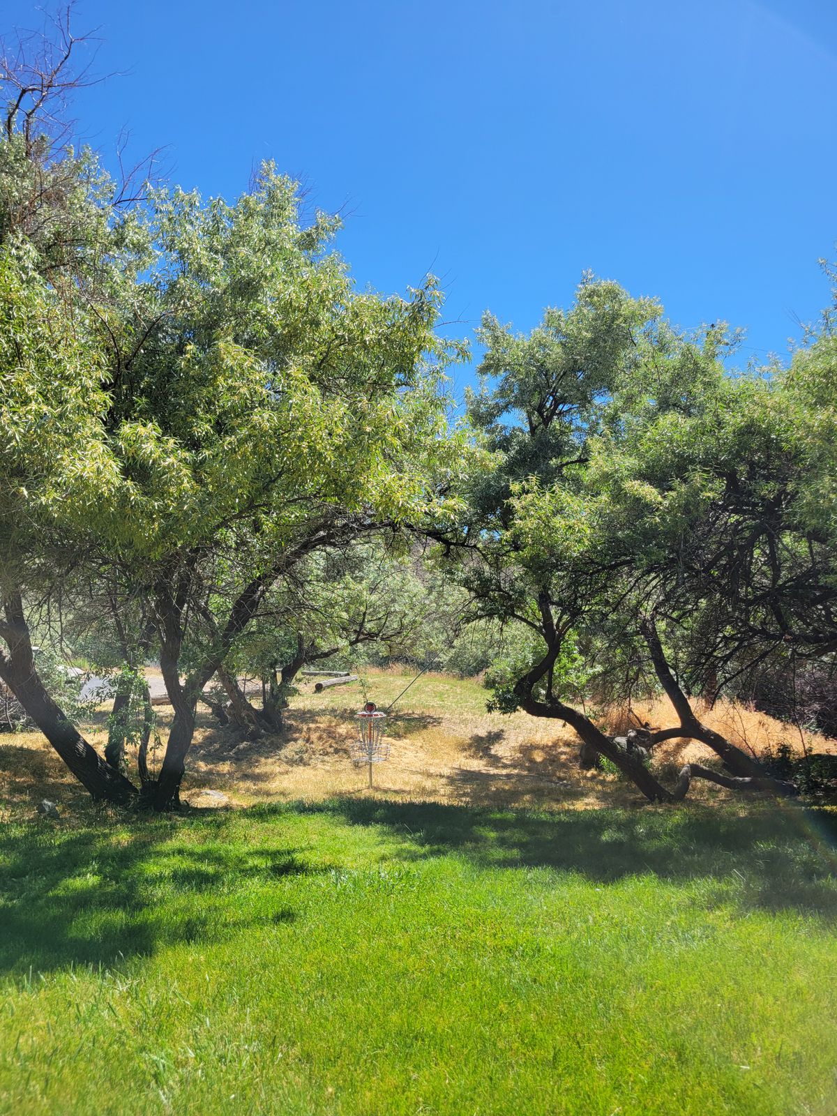 Hole 16