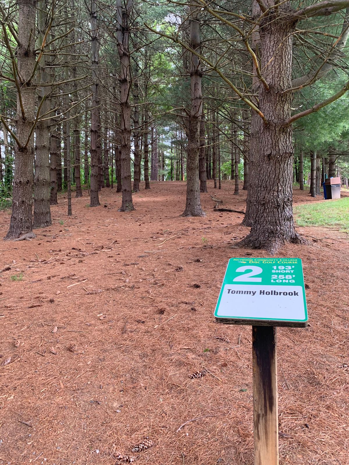 Tee hole 2