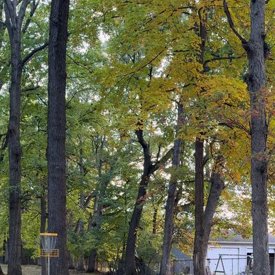 Hole 11’s green in the fall of 2023.