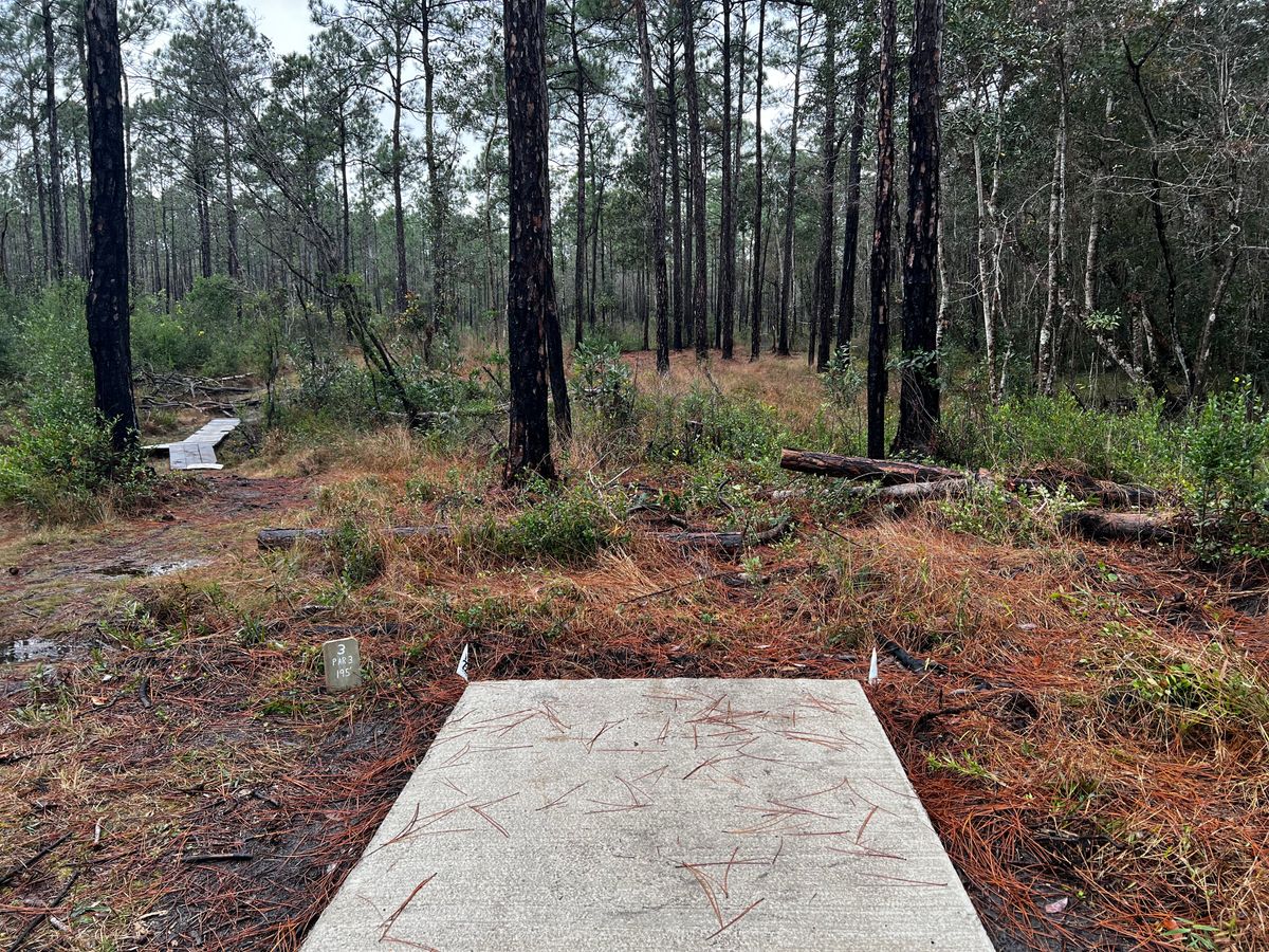 Hole 2 - white