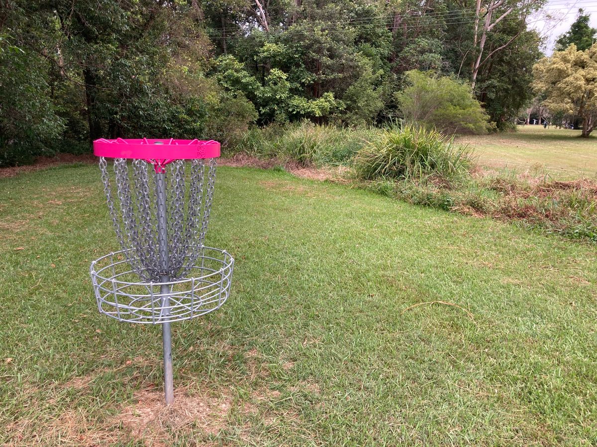 Hole 4 basket