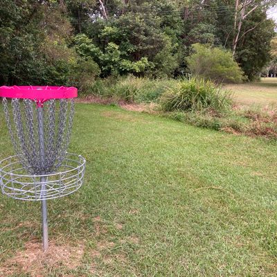 Hole 4 basket