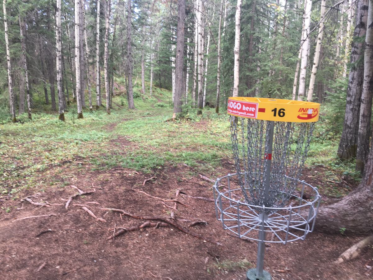 Reverse back up the fairway on hole 16.🇨🇦👍🌲🇨🇦