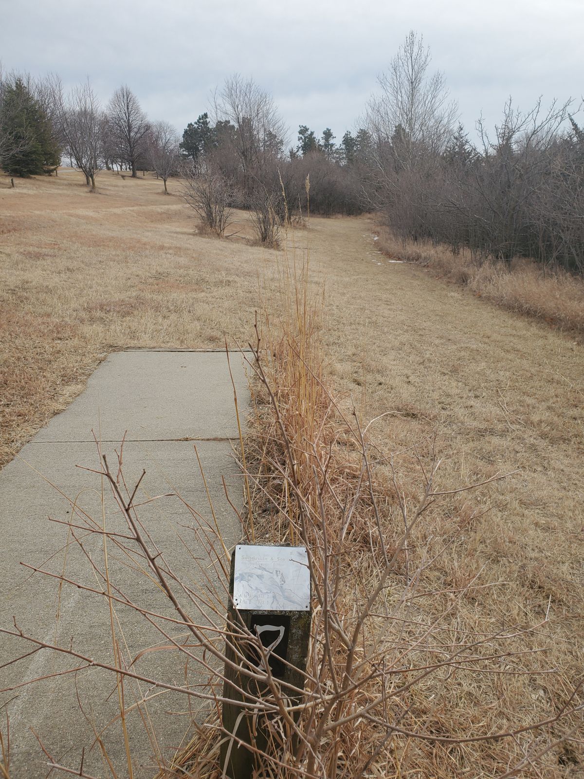 Hole 7